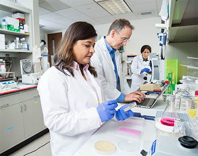 Center for Human Antibody Technology lab work