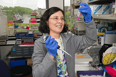 Researcher in the lab